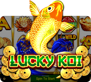 SG-lucky-koi