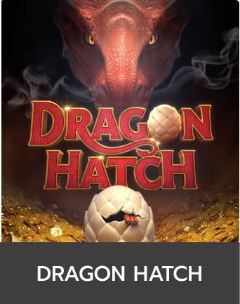 DRAGON HATCH-XO