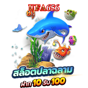 สล็อตปลาฉลาม